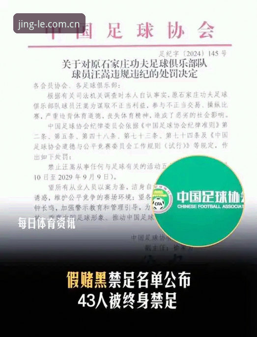 中国足协第三批禁足名单深度评测：一场足球反腐的全面清算